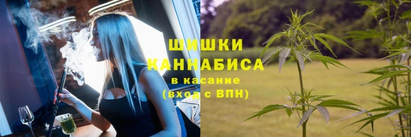 индика Абаза