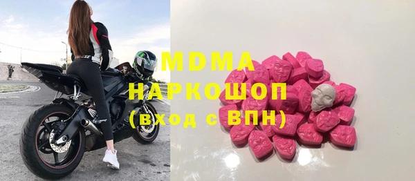 индика Абаза