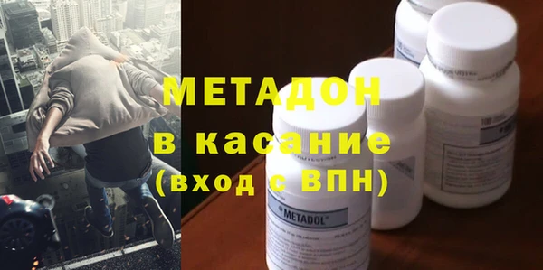 индика Абаза