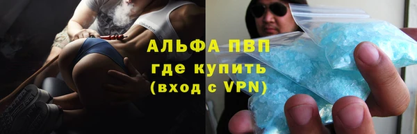 индика Абаза