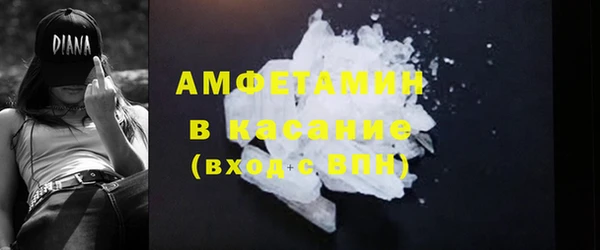 индика Абаза