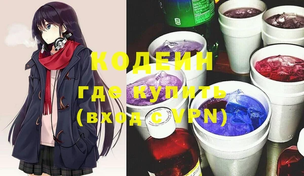 индика Абаза