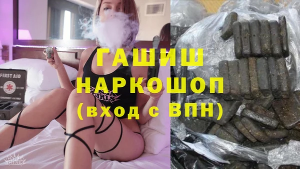 индика Абаза