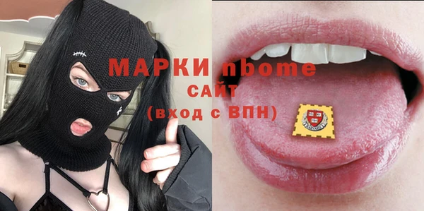 индика Абаза