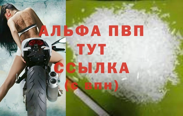 индика Абаза