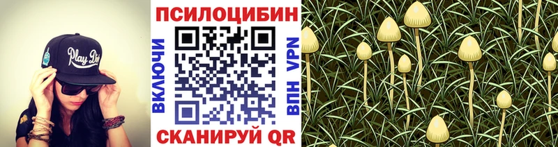 Галлюциногенные грибы мухоморы  hydra tor  Александров 