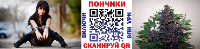 наркотики  это телеграм  Бошки марихуана White Widow  Александров 